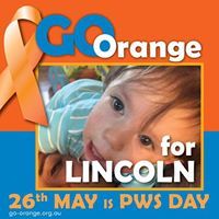 Sandra Rolon-Backward