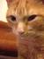 Tabitha...