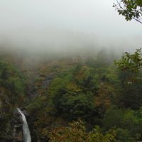 Теодора Костова