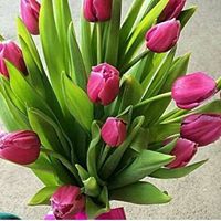 Гулзира Сарсенгалиева