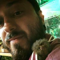 David Esteban Alcázar