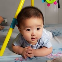 Viet Anh