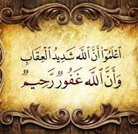 بكر الطنطاوى