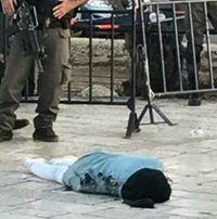 عبدالله الاحدب