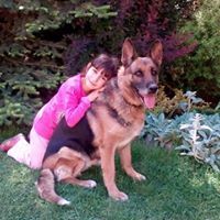 Габриел Харалампиев