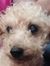 Renae M...