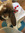 Pip 