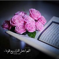 شيماء عبدالجبار