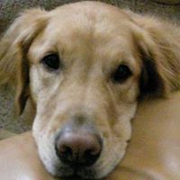 Heather Pitchforth Smith