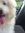Mitzy V...