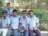Vivek Nedumthadathil