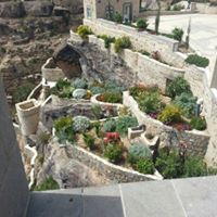 محمد اليوسفي