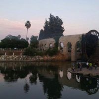 د.عائشة بارودي