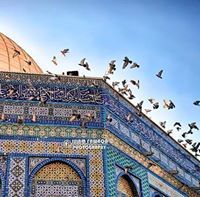 أحمد السومحي