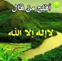 أكرم عزت