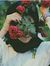 Amina Emad