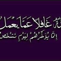 مسلمه عربيه