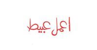 Mohamed Elhaleem