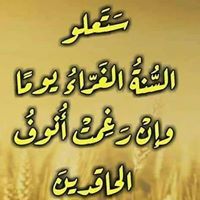 زياد الكواش