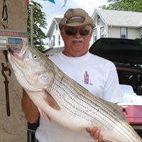 Kathel Eckler Willms