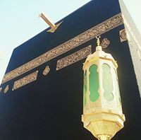 عمر عبدالناصر