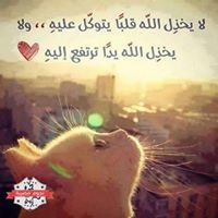 Mony Ali