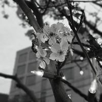 Beth Hamilton-Albright