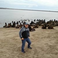 Петър Димитров