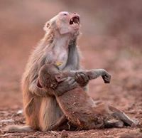 ஜெயந்தி ஜெயந்தி