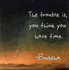 Vũ Tường Lan Chi