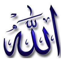 Ahmed Elshazly