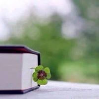 المهند الشيباني