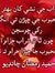 Aslam S...