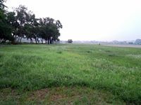 চাঁপা চাকমা