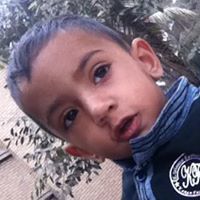 কিংকর কিংশুক