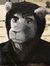 David P...