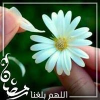 الوردةالدمشقية عطر الياسمين