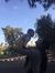 Tasnim Aly
