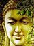 Vijay K...