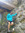 member photo member photo