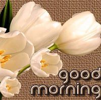 Rupesh Shinde