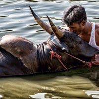 Alagappan A