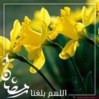 Asmaa Abd Elwahed