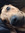 Shannon Beasley | 9 comments