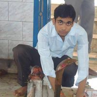 Mrityunjay Gaur