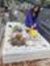 Arely J...