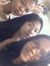 Kesia M...