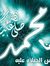 Mohsen Mam
