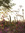 Hannah Park | 2 comments