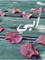 Haidy T...